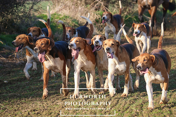 Hurworth Hunt 252