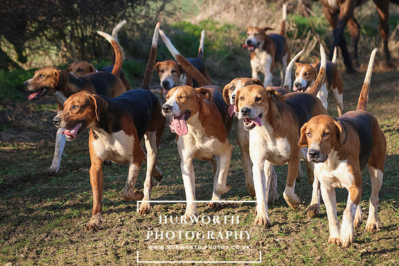 Hurworth Hunt 254