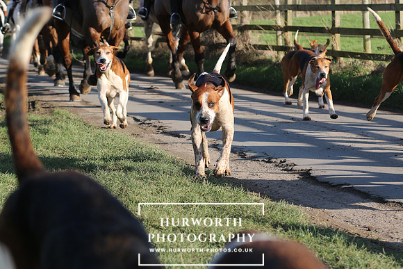 Hurworth Hunt 298