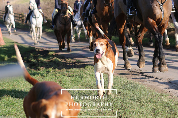Hurworth Hunt 299