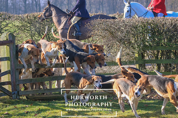 Hurworth Hunt 11