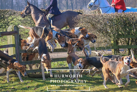Hurworth Hunt 12