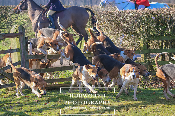 Hurworth Hunt 13