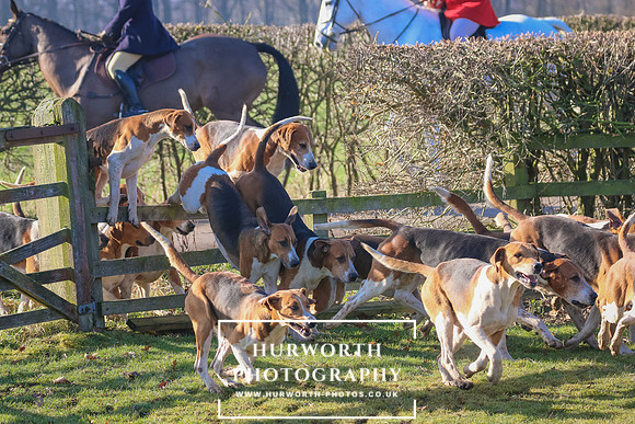 Hurworth Hunt 14