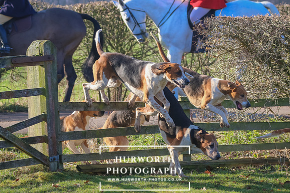 Hurworth Hunt 15