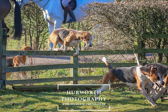 Hurworth Hunt 16