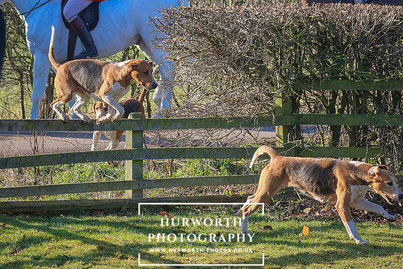 Hurworth Hunt 17