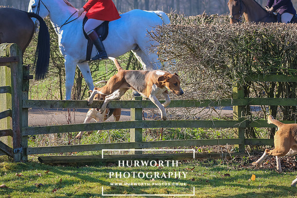Hurworth Hunt 18