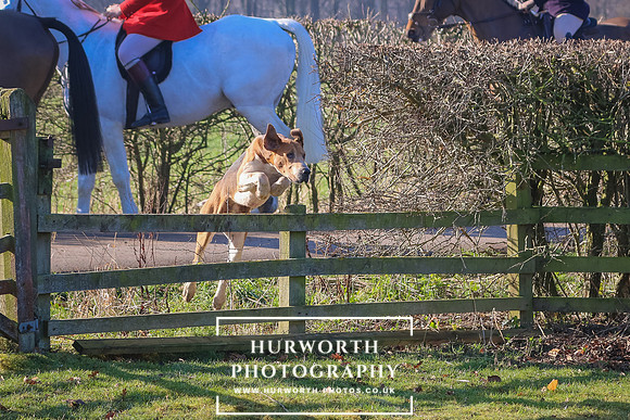 Hurworth Hunt 19