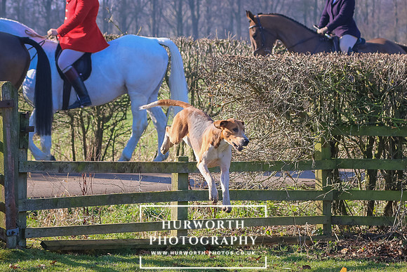 Hurworth Hunt 20