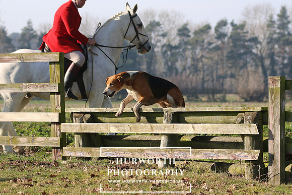 Hurworth Hunt 108
