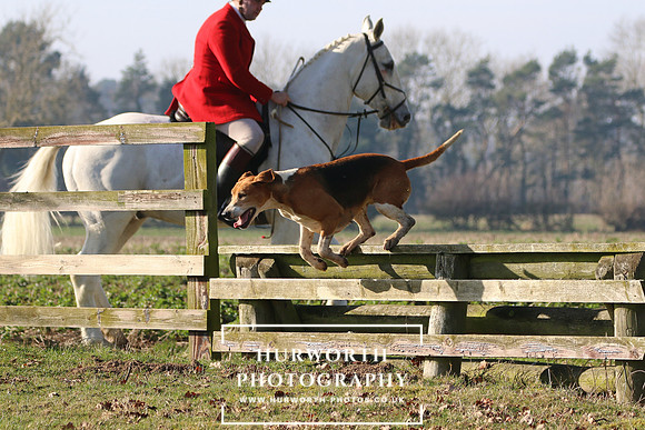 Hurworth Hunt 109