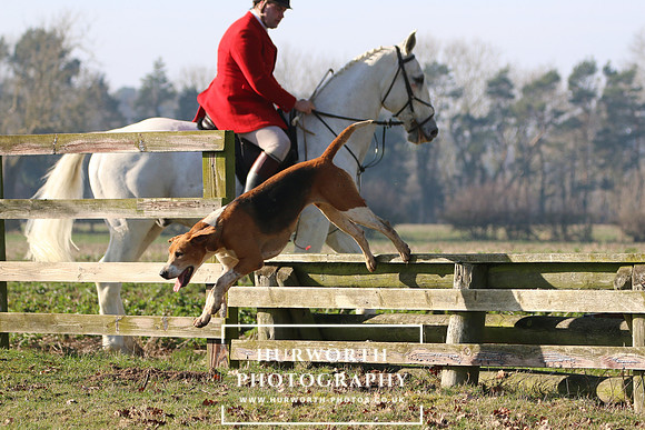 Hurworth Hunt 110