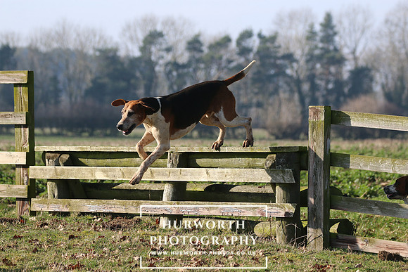 Hurworth Hunt 121
