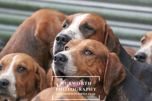 Hurworth 76