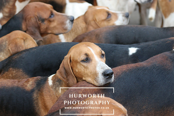 Hurworth 111