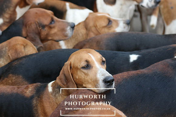 Hurworth 112