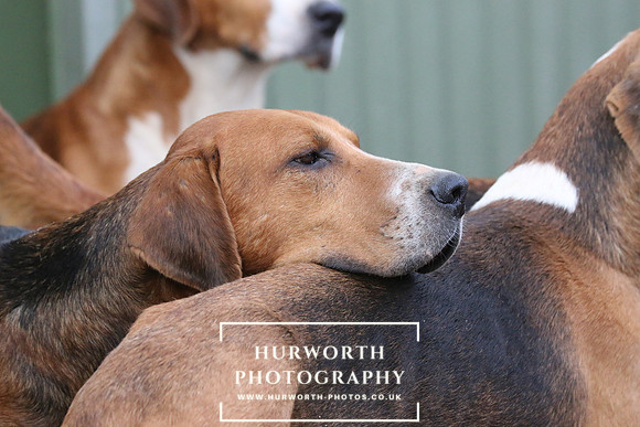 Hurworth 113