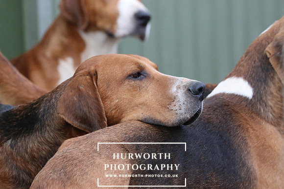 Hurworth 114