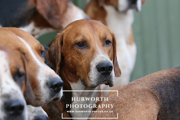 Hurworth 115