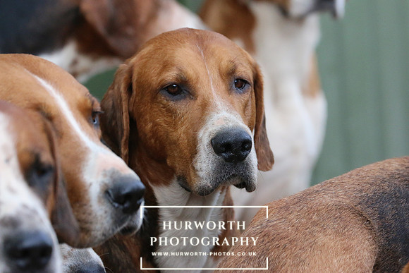 Hurworth 116