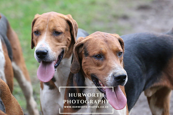 Hurworth 203