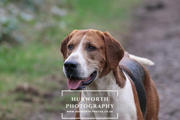Hurworth 205
