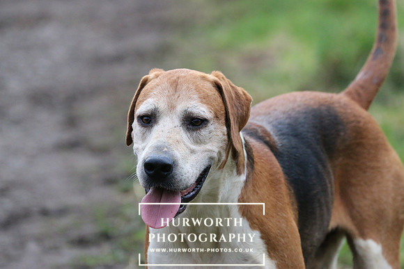 Hurworth 206