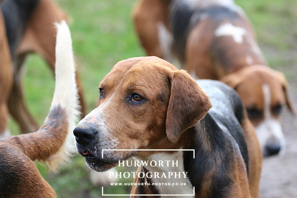 Hurworth 209