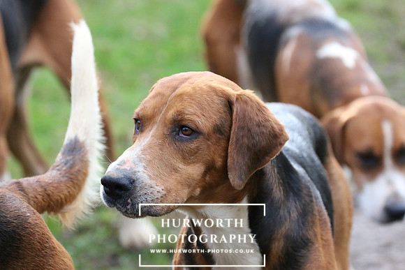 Hurworth 210