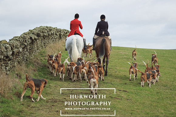 Hurworth 213