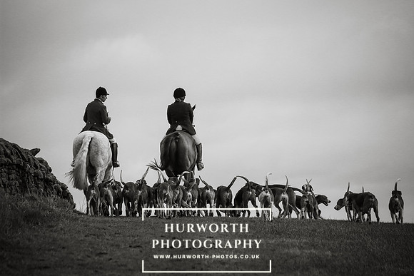 Hurworth 224
