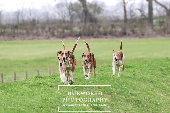Hurworth 257