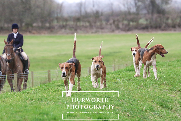 Hurworth 259