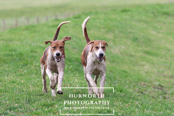 Hurworth 270