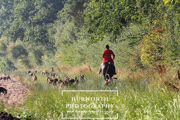 Hurworth Hunt  039