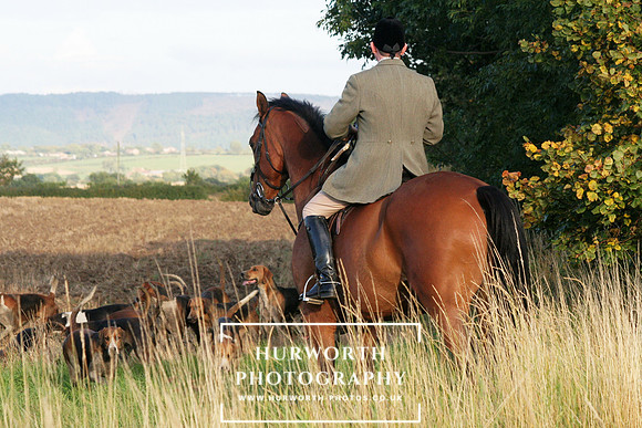 Hurworth Hunt  021