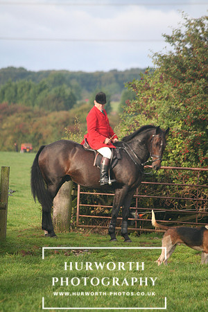 Hurworth Hunt  025