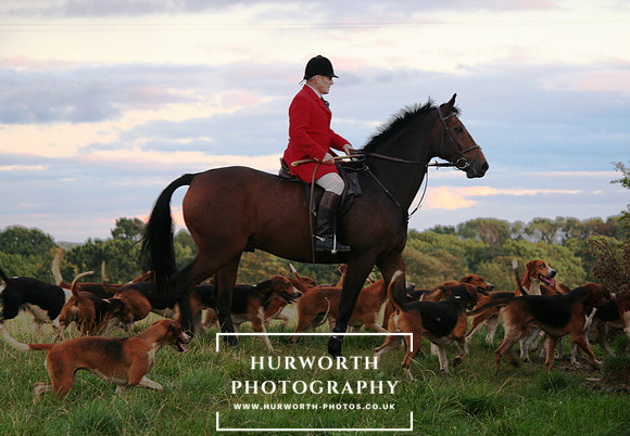 Hurworth Hunt  050