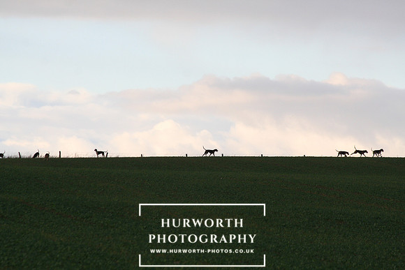 Hurworth Hunt  063