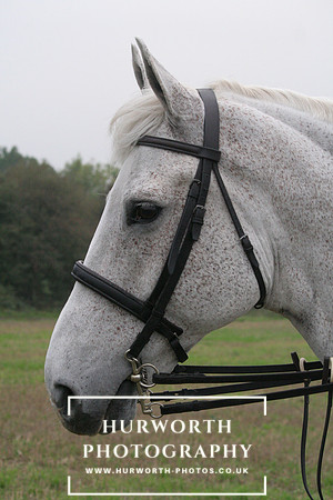 Hurworth Hunt  012