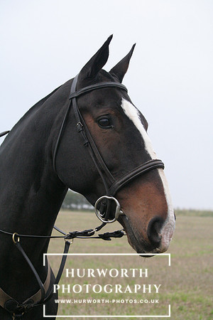 Hurworth Hunt  014
