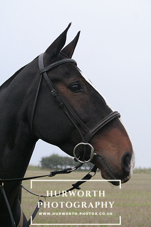 Hurworth Hunt  015