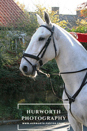 Hurworth 009