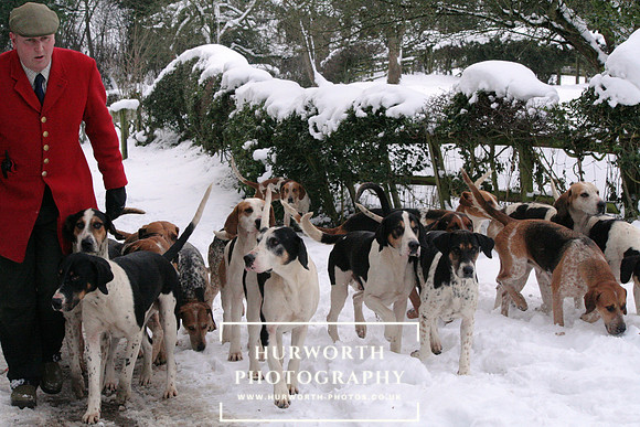 Bilsdale Hunt 008