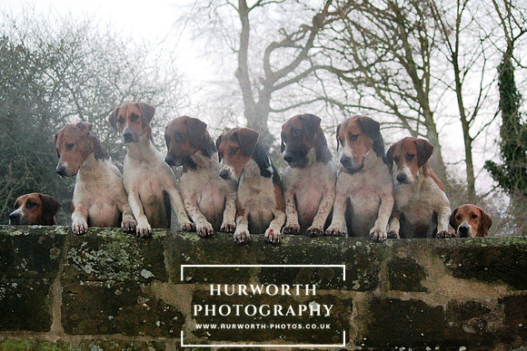 Hurworth 050