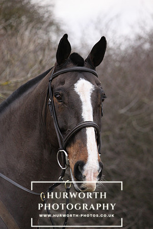 Hurworth 147