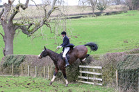 Hedge Hop 181