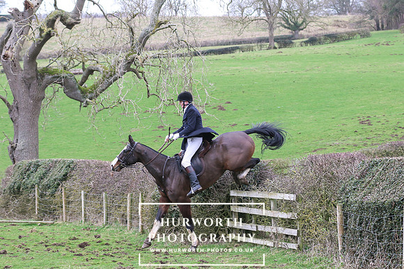 Hedge Hop 181