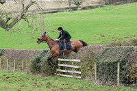 Hedge Hop 183